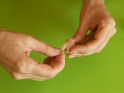 Collage des oreilles