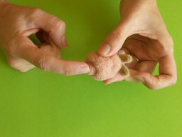 Collage de la queue du lapin