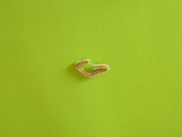 Fabrication des oreilles du lapin