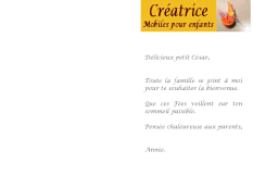 Faire-part de naissance personnalisé