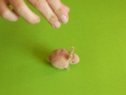 Lapin suspendu par son fil