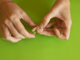 Placement des yeux du lapin