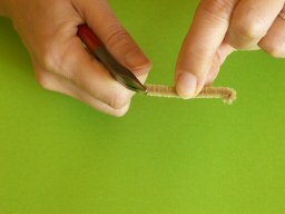 Protection des pattes