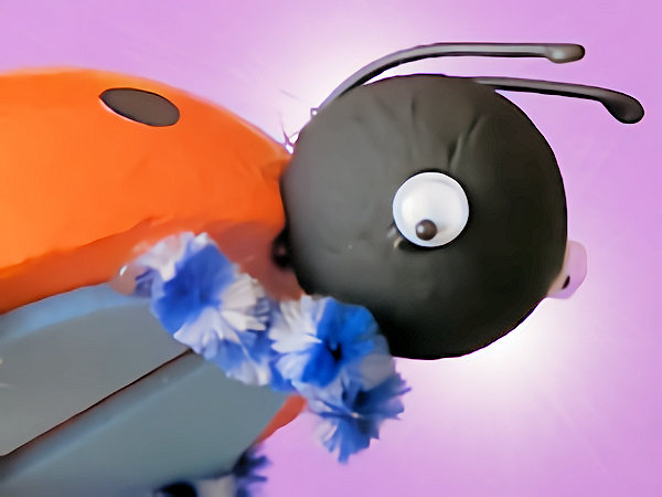 Coccinelles - detail