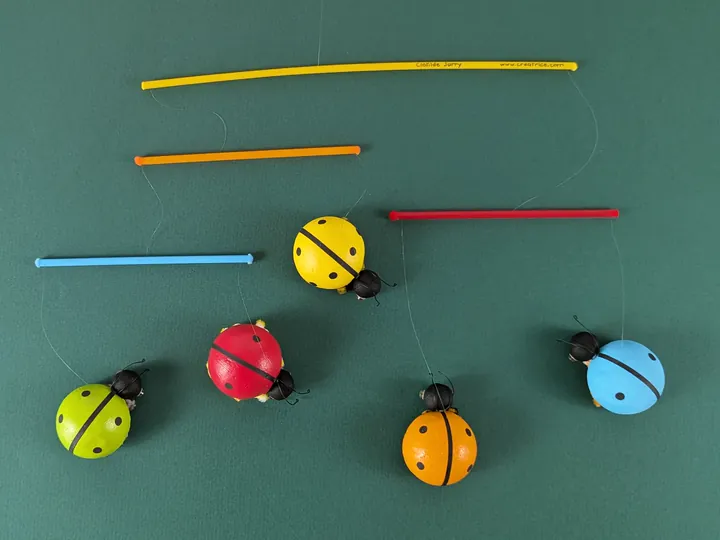 Coccinelles