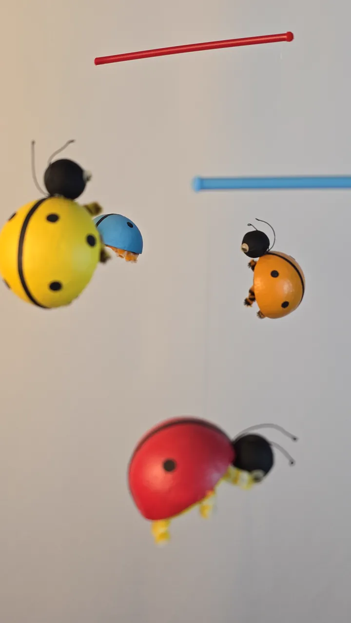Mobile coccinelles - détail dos bombé rouge à points noirs